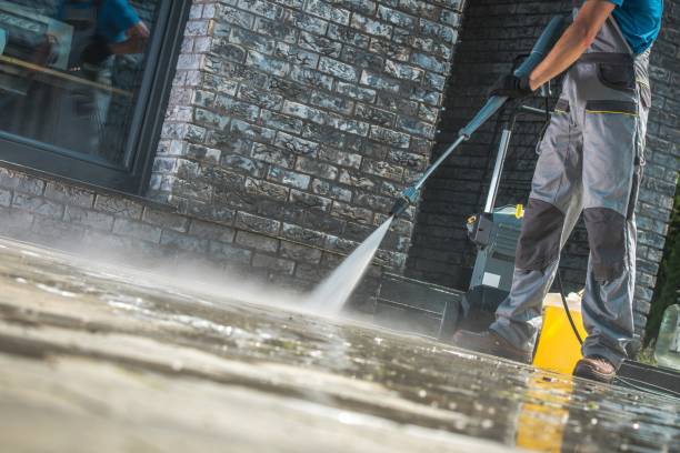 Best Driveway Pressure Washing  in Millington, NJ